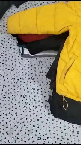 HD Winter Collection TNF Puffers - 20 pcs